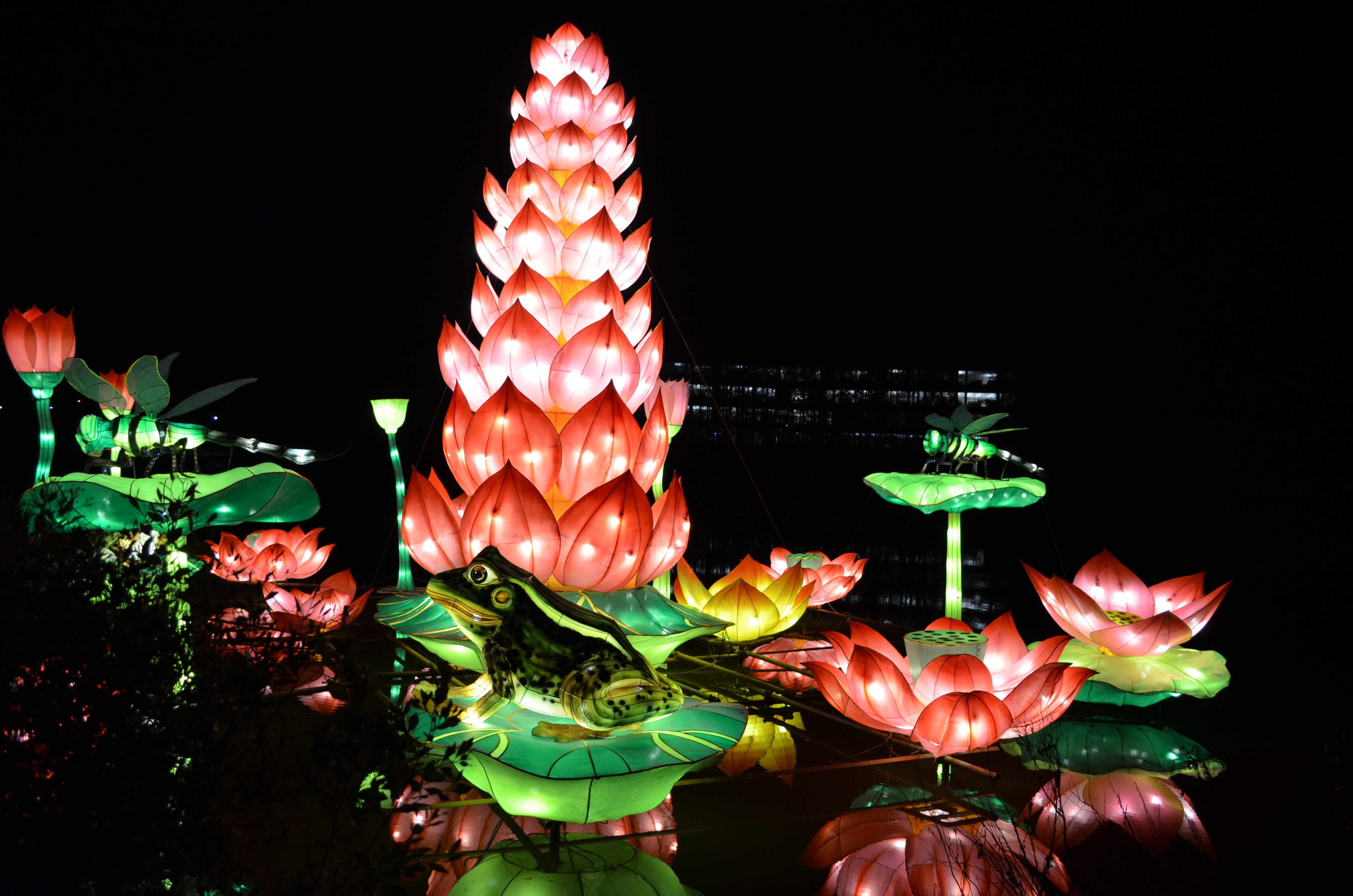./2015/33 - Chinese Lantern Festival/DSC_0633.JPG